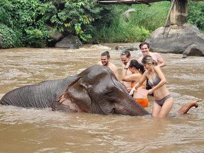 Photos from our guests | Chiang Mai Trekking | The best trekking in Chiang Mai with Piroon Nantaya